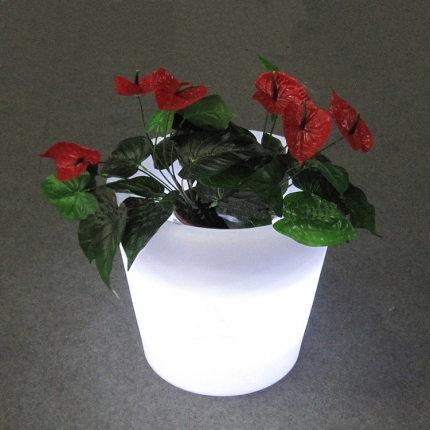 GD101 Luminous flower pots